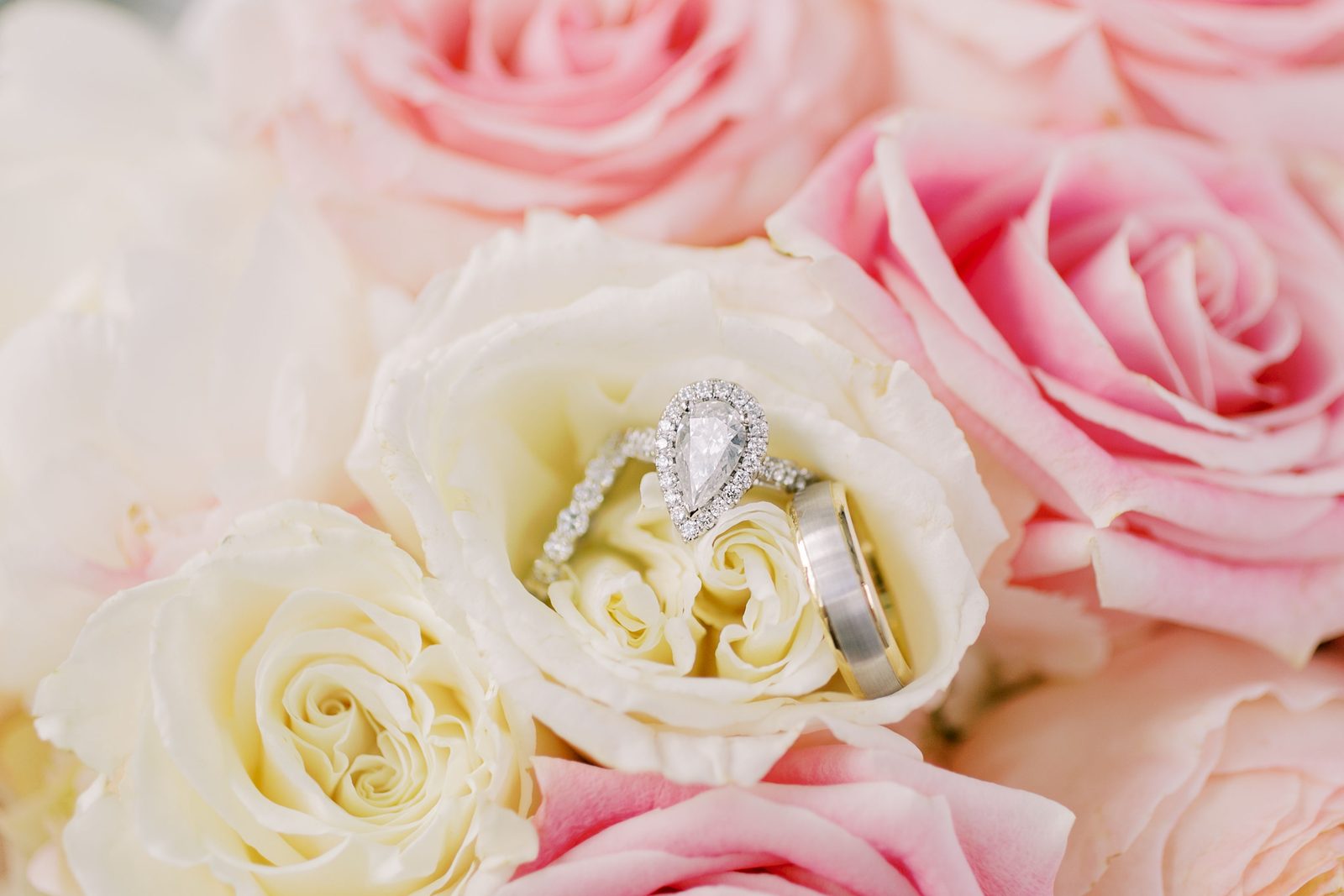 Wedding rings nestled in rose petals