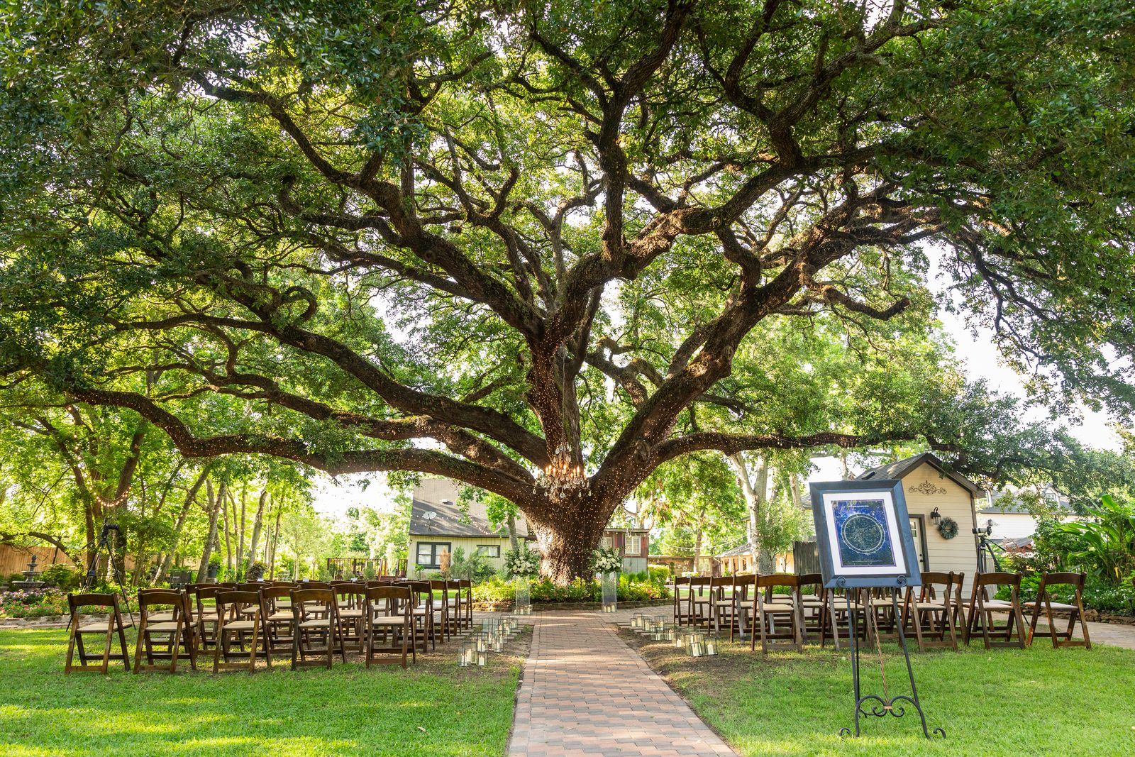 Oak Tree Manor's grand oak tree over the ceremony lawn